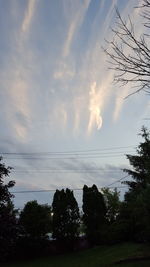 Low angle view of trees against sky