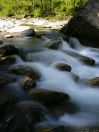 Scenic view of waterfall in forest