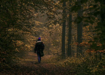 Rear view of woman walking in forest during autumn