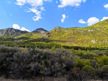 Scenic view of landscape against sky