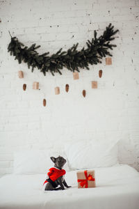 High angle view of christmas decorations on bed