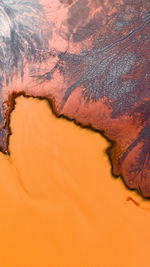 Sand dunes in a desert