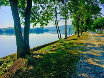 Scenic view of lake amidst trees against sky