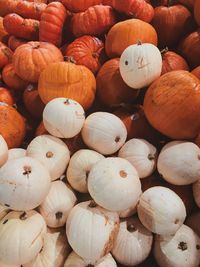 Full frame shot of pumpkins for sale at market stall