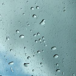 Close-up of water drops on leaf