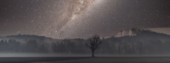 Scenic view of tree against sky at night