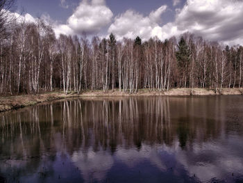 Reflection of trees in lake against sky