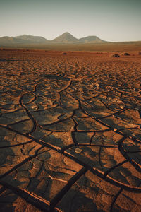 Erosion cracks in atacama desert