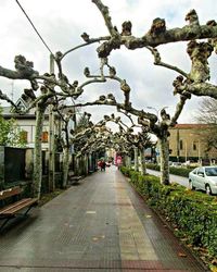 Road passing through city