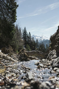 Stream flowing by trees against sky