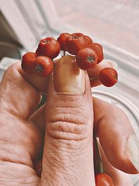 Close-up of person holding ice cream