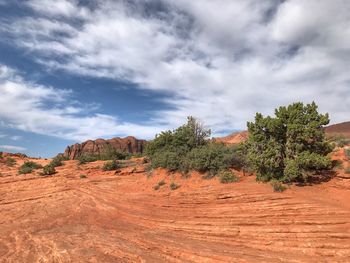 Scenic view of landscape against sky