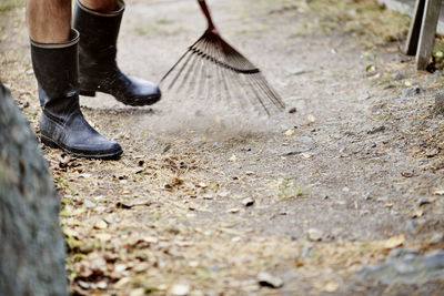 A man scratches leaves