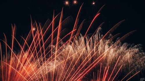 Low angle view of firework display at night