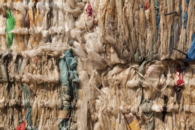 Close-up of rope tied on wood