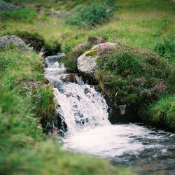 Scenic view of waterfall in forest