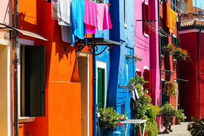 Potted plants on street by building