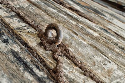 Full frame shot of rusty wood