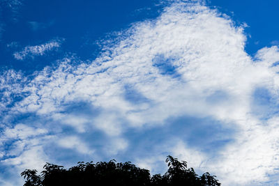 Low angle view of silhouette trees against blue sky