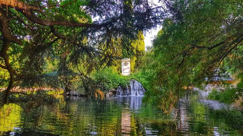 Reflection of trees in lake