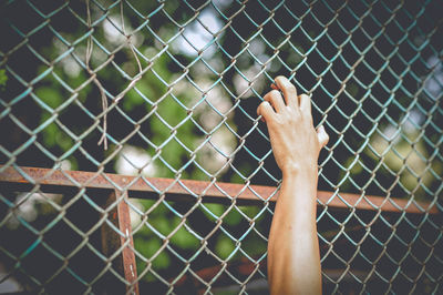 Cropped hand holding chainlink fence