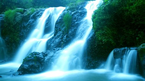 View of waterfall in forest