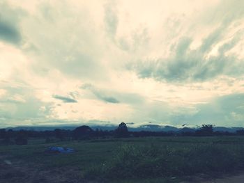 Scenic view of field against sky