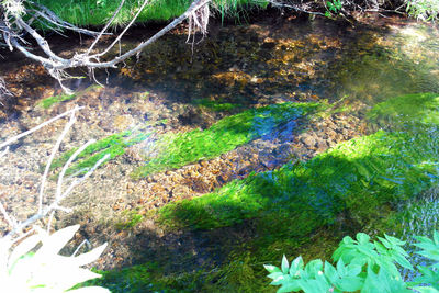 Close-up high angle view of water