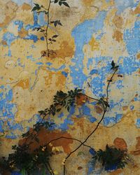 Full frame shot of weathered wall