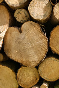 Full frame shot of logs in forest