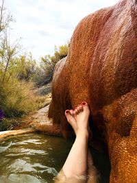 Low section of person in horse by river against sky