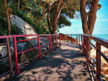 Shadow of tree on railing against trees