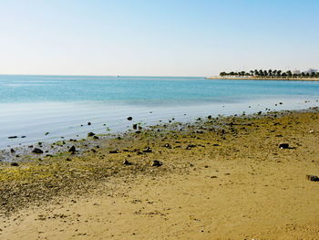 Scenic view of sea against clear sky