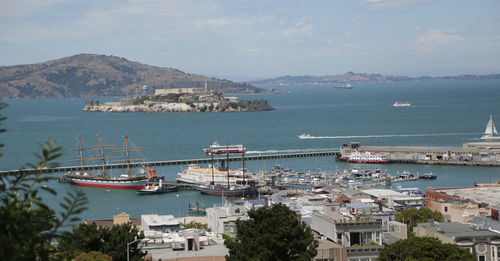 High angle view of sailboats moored in harbor