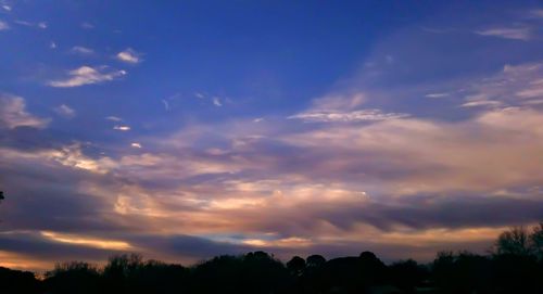 Low angle view of silhouette trees against sky