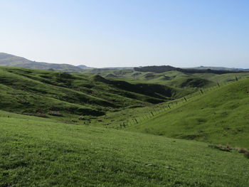 View of fields against clear blue sky