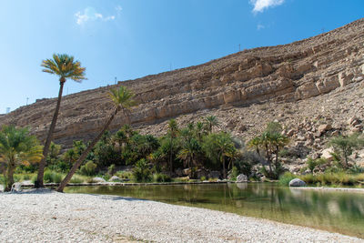 Scenic view of lake by trees against sky