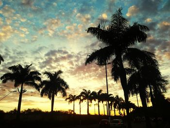 Silhouette of palm trees against cloudy sky