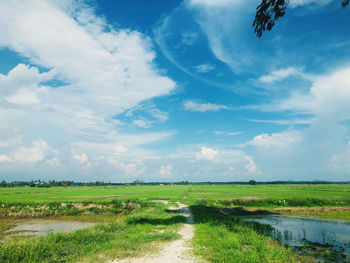 Scenic view of field against sky