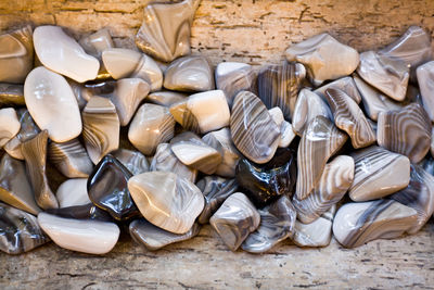 Shells on beach