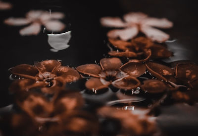 Close-up of dry leaves on table