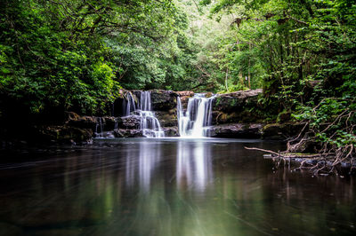 Scenic view of waterfall in forest