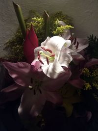 High angle view of pink flowering plant