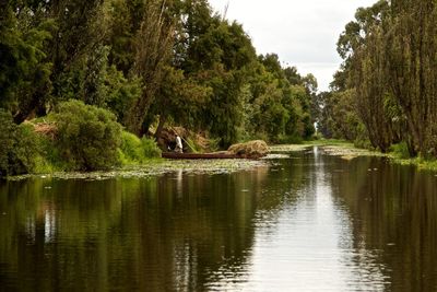 Scenic view of lake