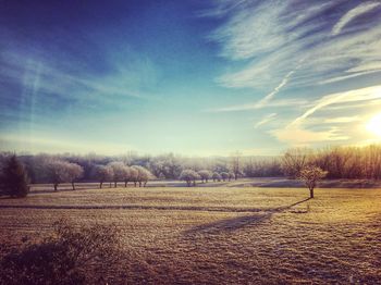 Scenic view of field against sky