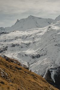 Scenic view of snowcapped mountains with an alpine ibex
