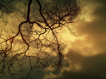 Low angle view of bare trees against sky at sunset