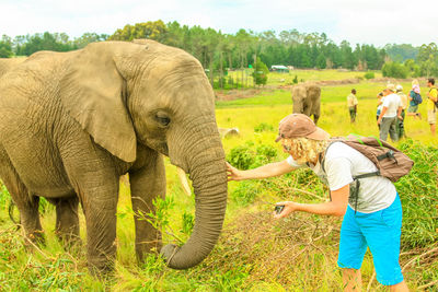 Woman with elephant standing on grass