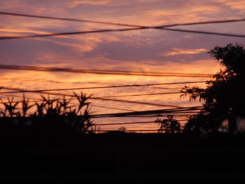 Silhouette trees against orange sky