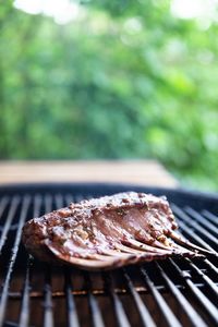 Close-up of meat on barbecue grill